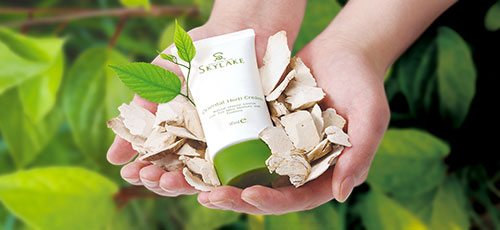 コスメ店＆教室