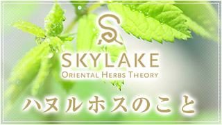 ハヌルホス・ジャパン