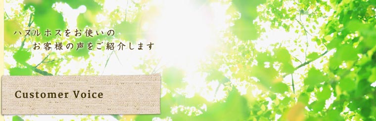 ハヌルホスをお使いのお客様の声をご紹介します